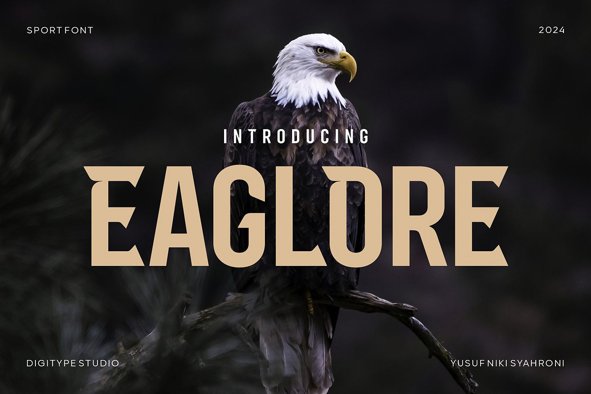 Eaglore Sport Font, a Sans Serif Font by Digitype Studio (Photo 1 of 10)