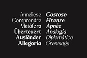 Mizhon Flare | 12 Fonts, a Serif Font by Skinny Type (Thumbnail 7 of 8)