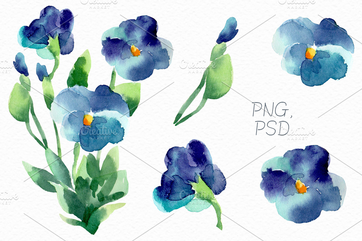 Watercolor violets, a Decorative Illustration by Colibri Watercolor (Photo 2 of 6)