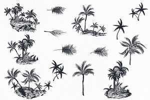 Palm Trees Vector Clip Art Set