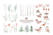 Watercolor woodland collection, an Animal Illustration by Peace ART (Thumbnail 4 of 14)