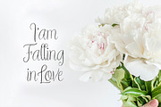 Treandy, a Script Font by Artic Type (Thumbnail 5 of 9)