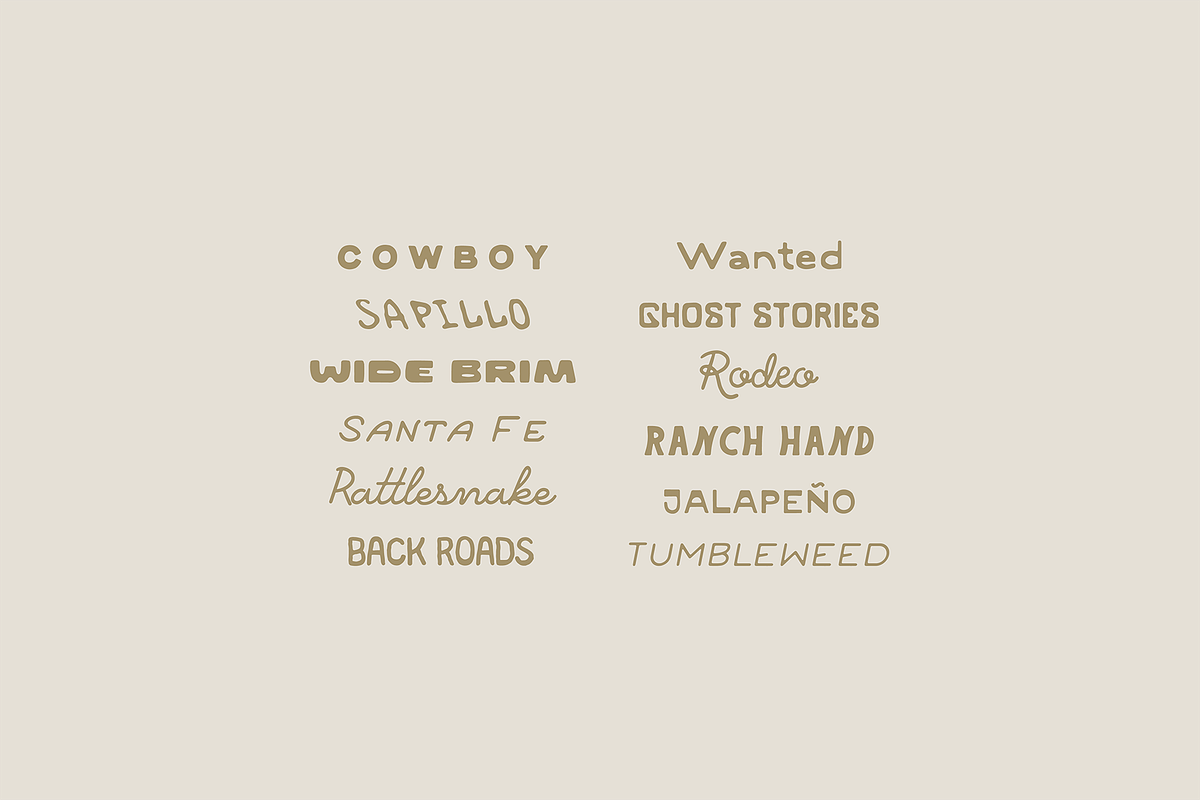 The Western Font Bundle, a Sans Serif Font by MEG BURK CHOI (Photo 3 of 4)
