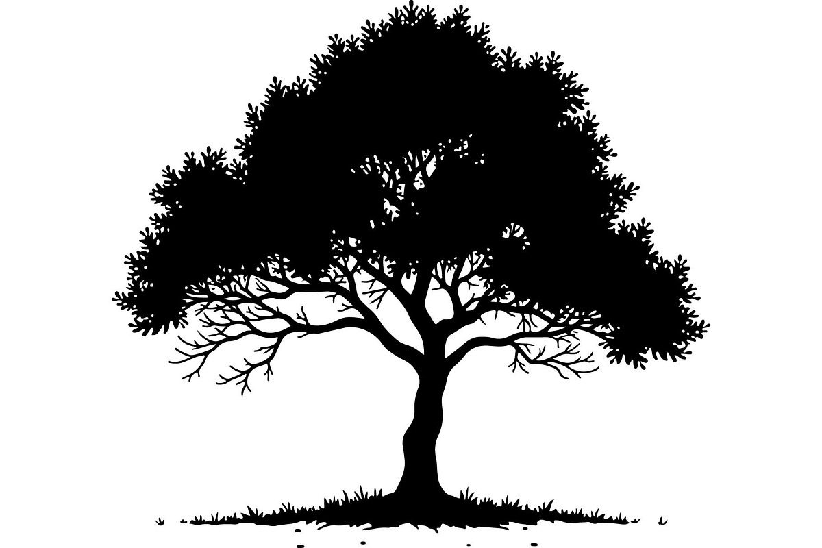 Silhouette Tree Vector Clipart Pack, an Object Graphic by jahid234 (Photo 4 of 10)