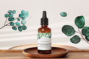 Watercolor Eucalyptus set, an Object Graphic by KlymchukArtworks (Thumbnail 8 of 10)