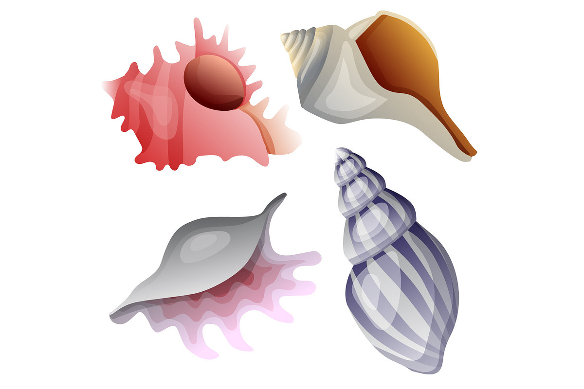 sea shell and star fish icon element, an Object Graphic by Propylparaben (Photo 3 of 5)