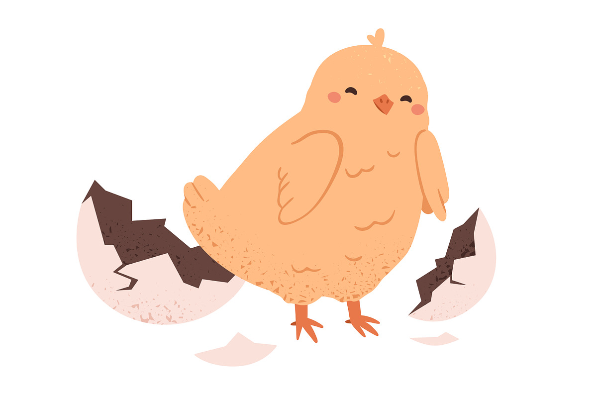 Chicken hatching from egg stages, an Animal Illustration by Good Studio (Photo 5 of 6)