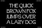 TAN - OUR TIMES, a Serif Font by TanType (Thumbnail 11 of 13)