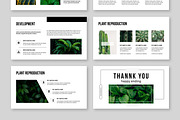 Botanical Presentation, a Presentation Template by MightyDesign (Thumbnail 4 of 7)