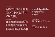 Bikne Unique Serif Display Font, a Serif Font by Perfectype (Thumbnail 5 of 5)