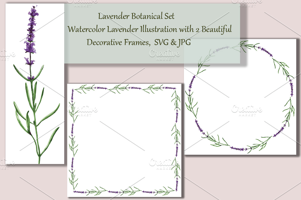 Botanical Lavender Set, SVG & JPG, an Object Graphic by Arevka