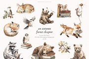 An Autumn Forest Chapter Collection, an Animal Illustration by PeDe Designs (Thumbnail 5 of 29)