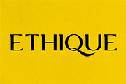 Mini-Pack Display Font Bundel+ Bonus, a Font by Bagerich Type Foundry (Thumbnail 11 of 11)