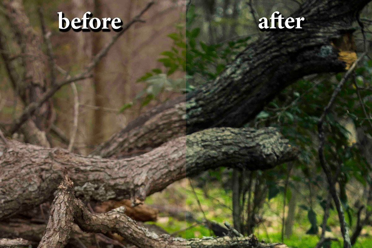 CameraRaw Preset ForestGreen, a Preset Add-On by NiccerPhotography (Photo 2 of 3)