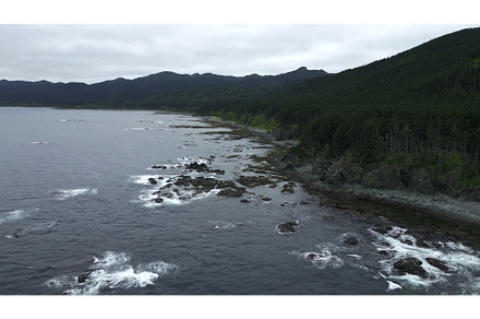 Top view of beautiful landscape of, a Nature Photo by Media Whale Stock