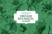 Vintage Botanical Vector Set, a Decorative Illustration by Pingebat (Thumbnail 1 of 18)