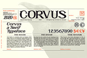 CORVUS Serif font, a Serif Font by Artistic & Unique (Thumbnail 7 of 15)