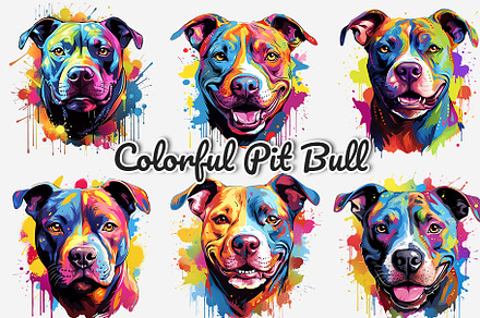 Colorful Pit Bull Dog