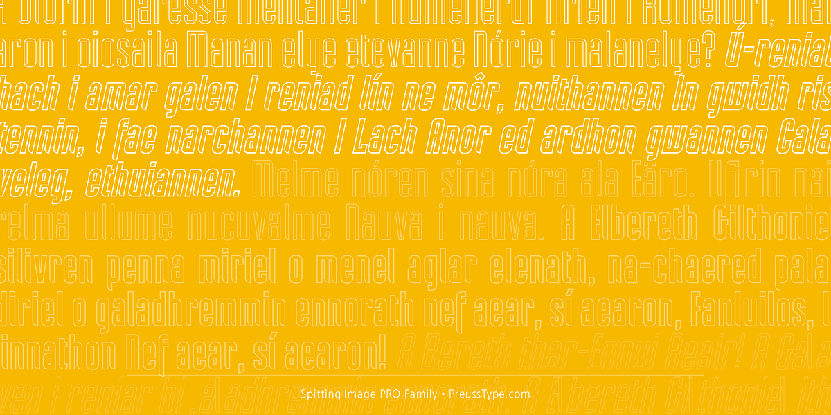 Spitting Image PRO, a Sans Serif Font by preussTYPE (Photo 5 of 9)