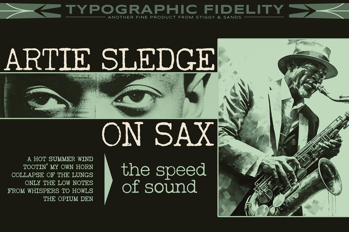 Wire Transfer 76, a Serif Font by Stiggy & Sands (Photo 4 of 9)