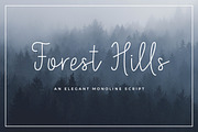Forest Hills Script, a Script Font by Peacelettering (Thumbnail 1 of 8)