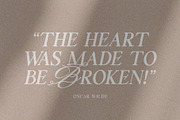 Silver Garden - Nostalgic Font Duo, a Serif Font by SilverStag Type Foundry (Thumbnail 25 of 26)