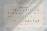 Del Lante Elegant Calligraphy Script, a Script Font by gracetype_studio (Thumbnail 11 of 12)