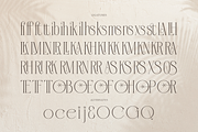 Orlevin | New Modern Serif, a Serif Font by gracetype_studio (Thumbnail 12 of 12)