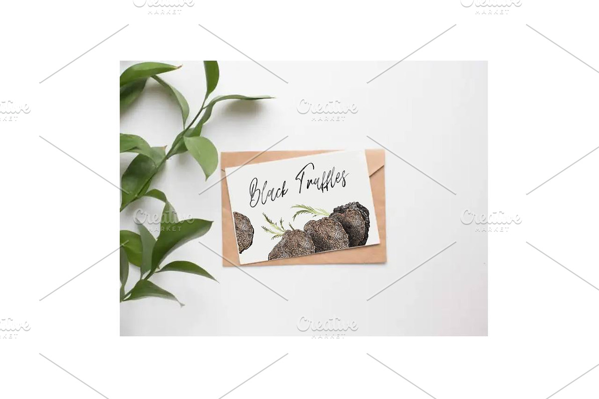 Black Truffle Watercolor Clipart, a Food Illustration by NKTKNS (Photo 6 of 6)
