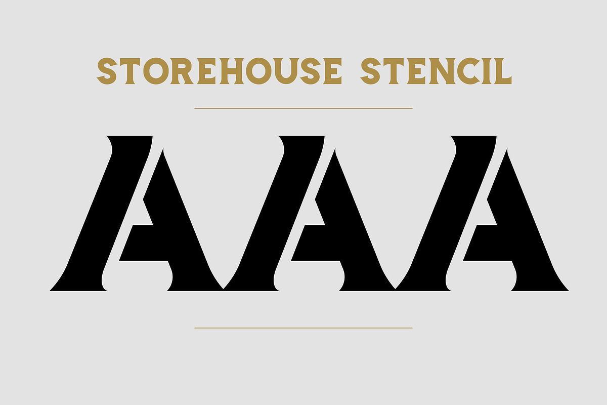 Storehouse Font + Vector shapes, a Serif Font by LeoSupply.co (Photo 12 of 18)