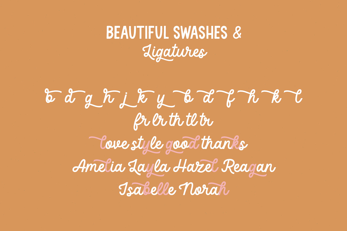 Delightful Monoline Font Duo, a Handwritten Font by supfonts (Photo 9 of 10)