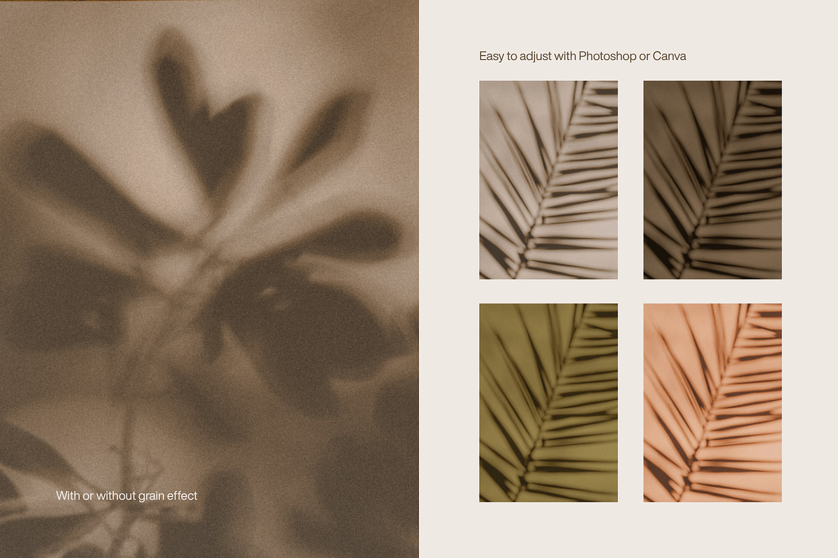 Komorebi Garden Shadows Backgrounds, a Background Graphic by Cosmic Energy Studio (Photo 3 of 5)