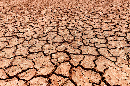 dry and cracked earth background, an Abstract Photo by Perpis