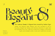 Wave Vero - Elegant Typeface, a Sans Serif Font by AuthenType (Thumbnail 2 of 12)