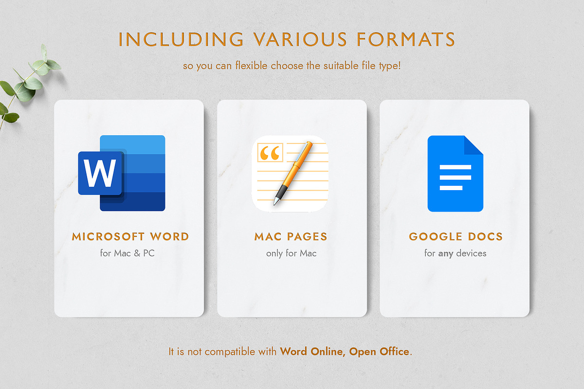 Professional Resume Template, a Resume Template by TheStandOutResume (Photo 8 of 10)