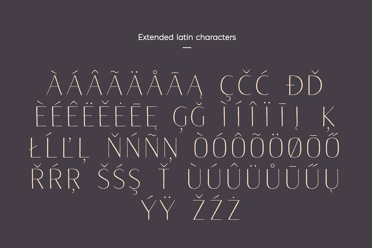 Naive Sans Light & Shake, a Handwritten Font by S&C Type (Photo 4 of 6)