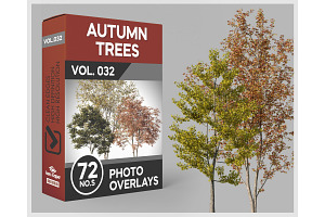 72 Autumn Trees Photo Overlays, a Nature Photo by KenScape