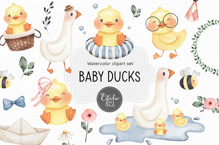 Baby Ducks watercolor set, an Animal Illustration by Estudio 812