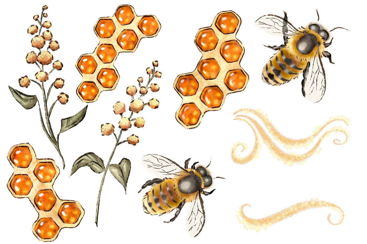 Badger Clipart PNG - Magic Forest, an Animal Illustration by Lenninator Digital (Photo 5 of 8)