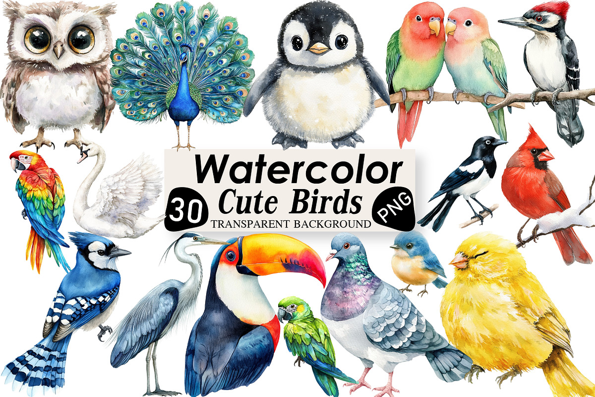 Cute Birds Clipart, an Illustration by Black Bird Studio (Photo 1 of 6)