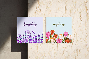 Card Backgrounds With Flowers Set