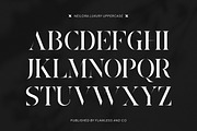 Neilora - Elegant Stencil Serif Font, a Serif Font by Flawless And Co (Thumbnail 6 of 10)