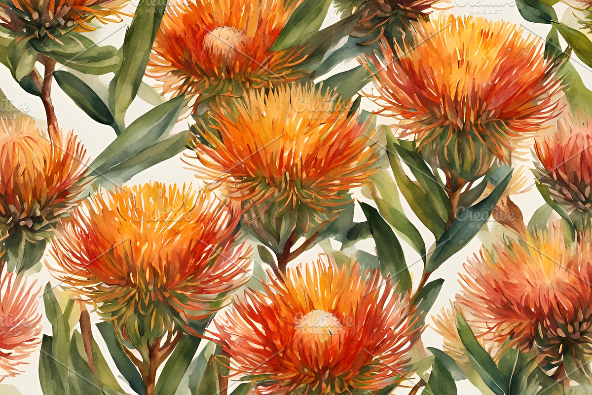 Pincushion Protea Flowers, a Decorative Illustration by Karliefie (Photo 4 of 8)