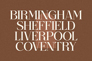 Begilas Modern Serif Font, a Serif Font by Storytype Studio (Thumbnail 9 of 14)