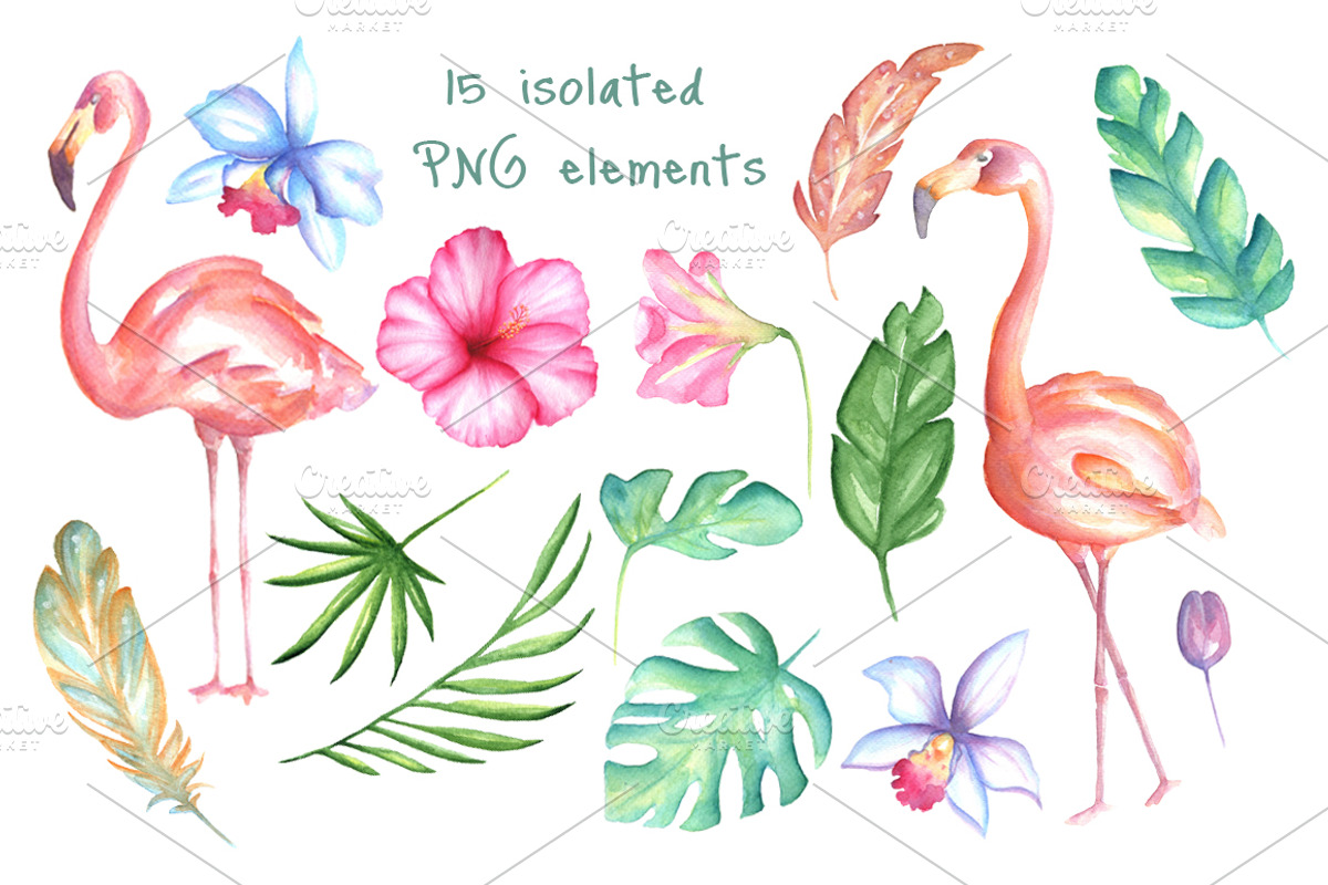 Pink flamingo set, an Illustration by artdreamer (Photo 4 of 6)