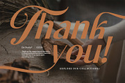 Bellavine, a Serif Font by din-studio.com (Thumbnail 11 of 11)