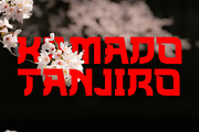 WATANABE -Japanese Style Typface, a Serif Font by AnnofaType (Thumbnail 4 of 8)
