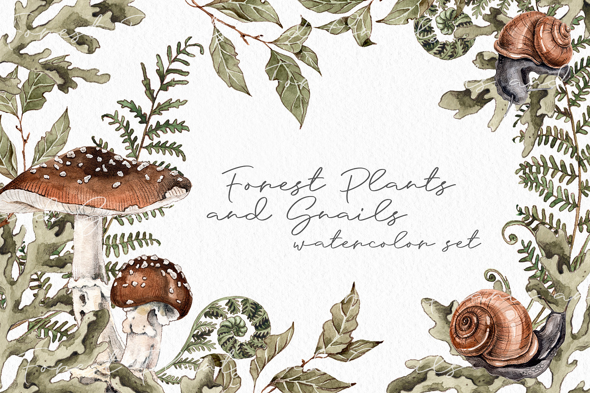 Forest plants and snails watercolor, an Illustration by Alamella (Photo 1 of 7)