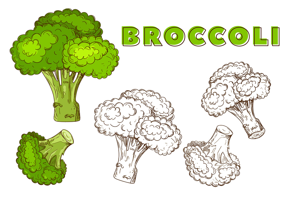 Vegetables in the Vintage Style, a Healthcare Illustration by Alfazet Chronicles (Photo 15 of 15)