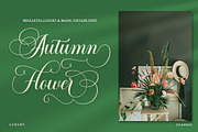 The Bringhton, a Script Font by Straight.co (Thumbnail 5 of 11)